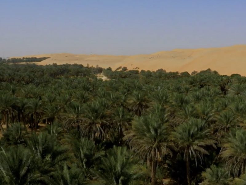  History of the Emirates Etihad screening