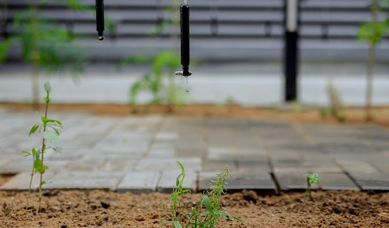  Global Co-commission talk at Avenue